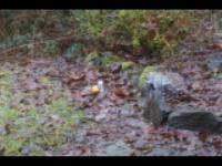 dsc00077.jpg